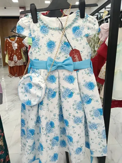 Blue Floral Princess Girls Dress Set