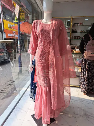 Elegant Peach Embroidered Ladies Dress Set